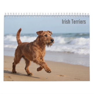 Irish Terrier 2027 Calendar