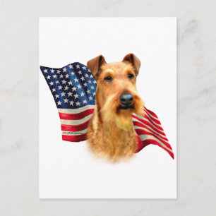Irish Terrier Flag Postcard
