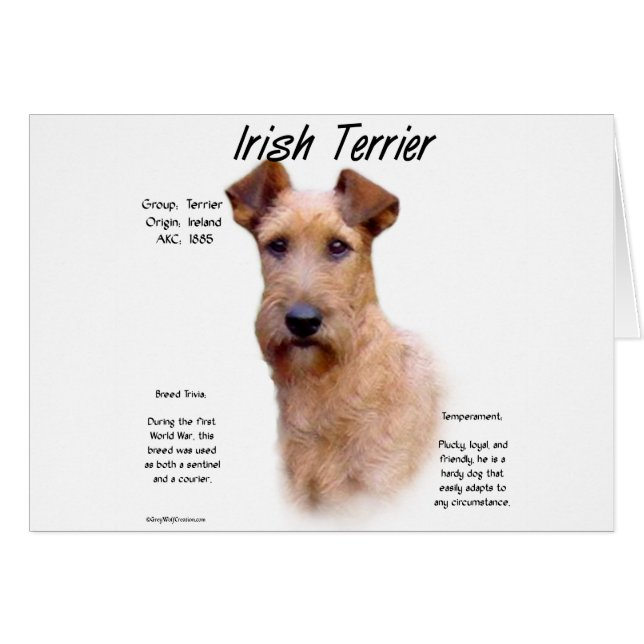 Irish Terrier History Design (Front Horizontal)