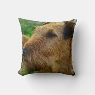 Irish Terrier Pet Dog Throw Pillow Home Decor