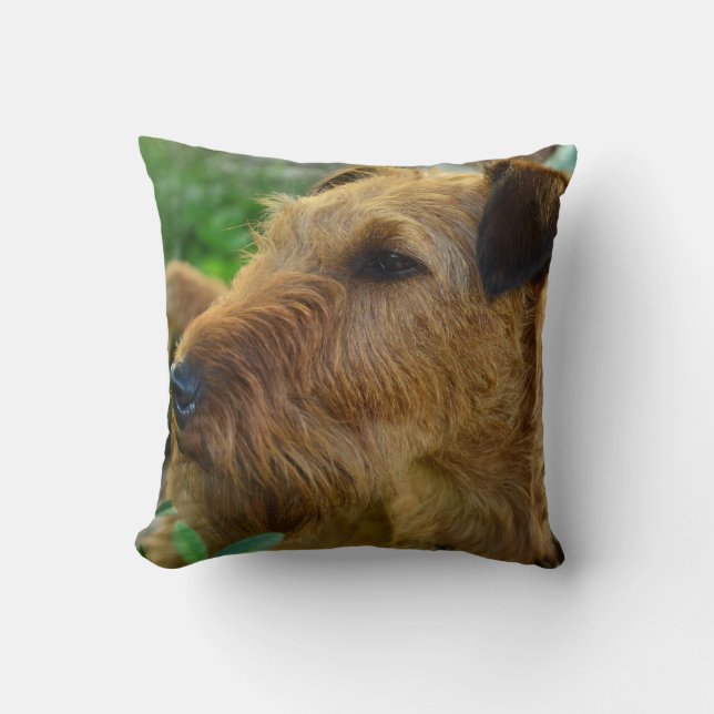 Irish Terrier Pet Dog Throw Pillow Home Decor (Front)