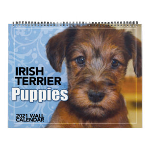 Irish Terrier Puppies 2021 Wall Calendar