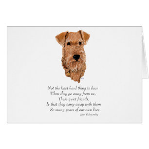 Irish Terrier Rainbow Bridge