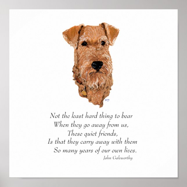 Irish Terrier Rainbow Bridge Poster (Front)