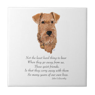 Irish Terrier Rainbow Bridge Tile