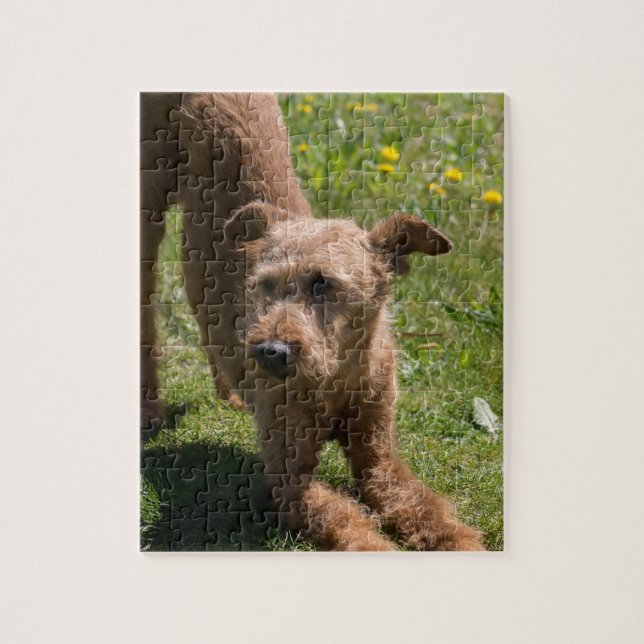 Irish Terrier Yoga Jigsaw Puzzle (Vertical)