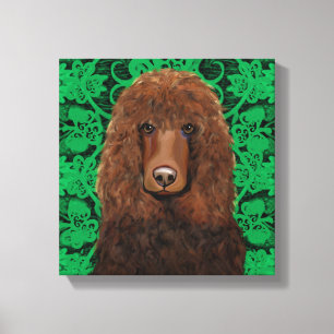 Irish Water Spaniel Canvas Print