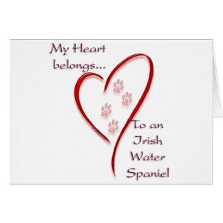 Irish Water Spaniel Heart Belongs