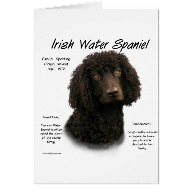 Irish Water Spaniel History Design (Front)