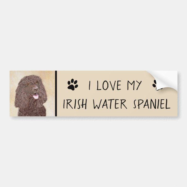 Irish Water Spaniel Painting - Original Dog Art Bumper Sticker (Front)
