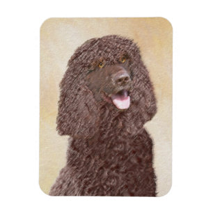 Irish Water Spaniel Painting - Original Dog Art Magnet