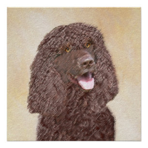 Irish Water Spaniel Painting - Original Dog Art Poster