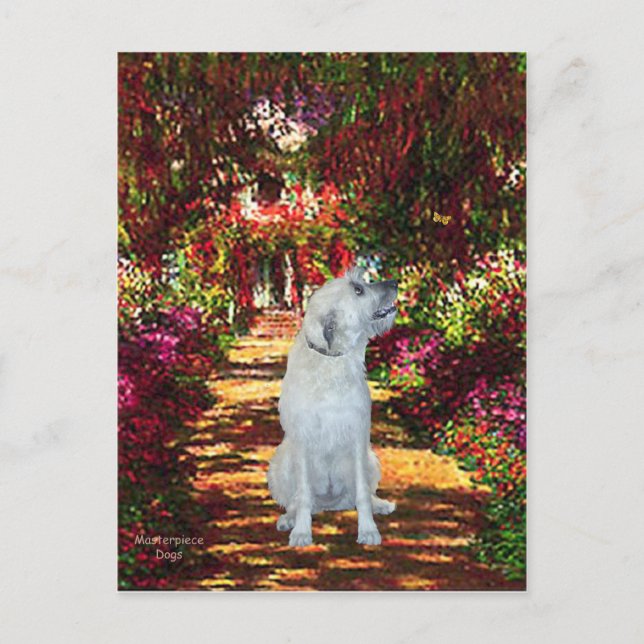 Irish Wolfhound 4 - The Path Postcard (Front)
