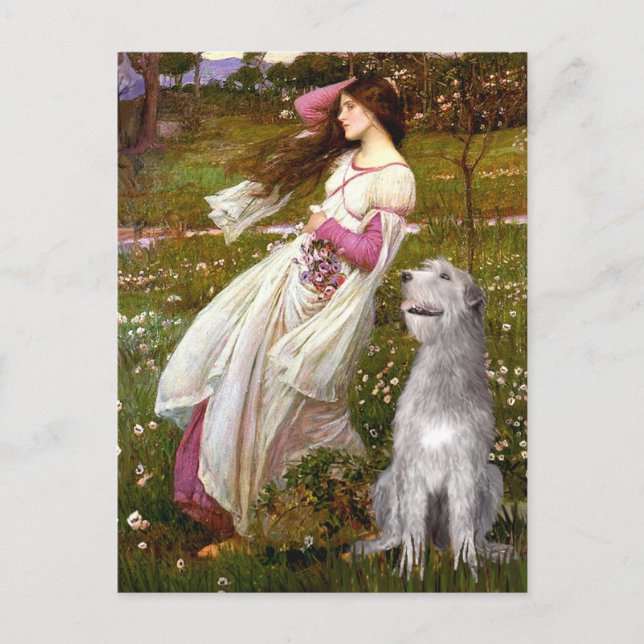 Irish Wolfhound 6 - Windflowers Postcard (Front)