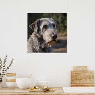 Irish Wolfhound I Am Not Amused, Poster