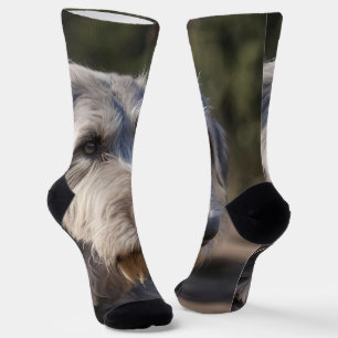 Irish Wolfhound I Am Not Amused, Socks