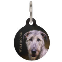 Irish Wolfhound