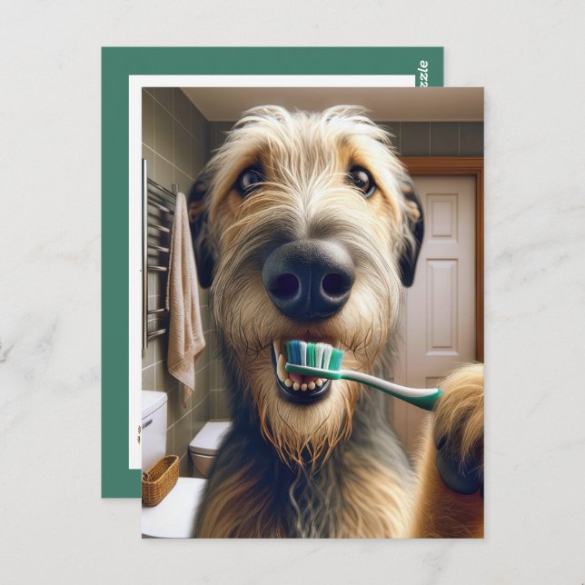Irish Wolfhound Reminder from Veterinarian Office Postcard (Front/Back)