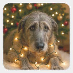 Irish Wolfhound Tangled In Holiday Lights Square Sticker