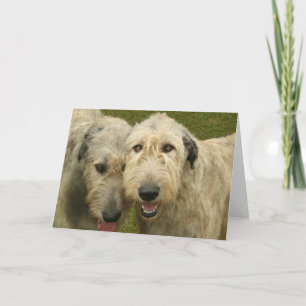 Irish Wolfhounds Card
