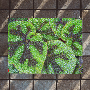 Iron Cross Begonia Floral Doormat