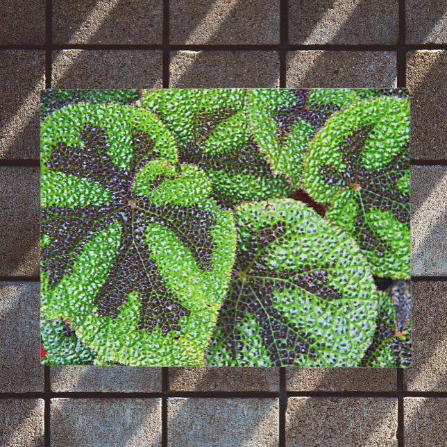 Iron Cross Begonia Floral Doormat (In Situ)