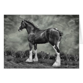 Iron Horse Steele