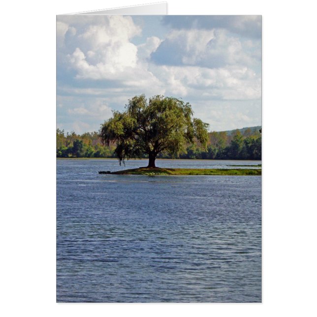 Iron Mountain Lake (Front)