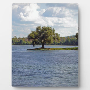 Iron Mountain Lake Plaque
