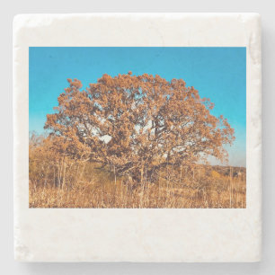Iron Oak with Fall Sunrise Glow Stone Coaster