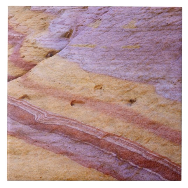Iron oxides colour a sandstone formation tile (Front)