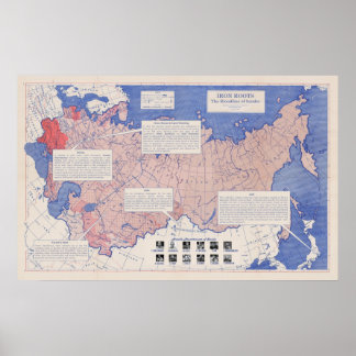 Iron Roots: The Bloodline of Sambo Poster