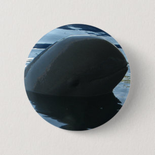 Irrawaddy Dolphin Peek-A-Boo 6 Cm Round Badge