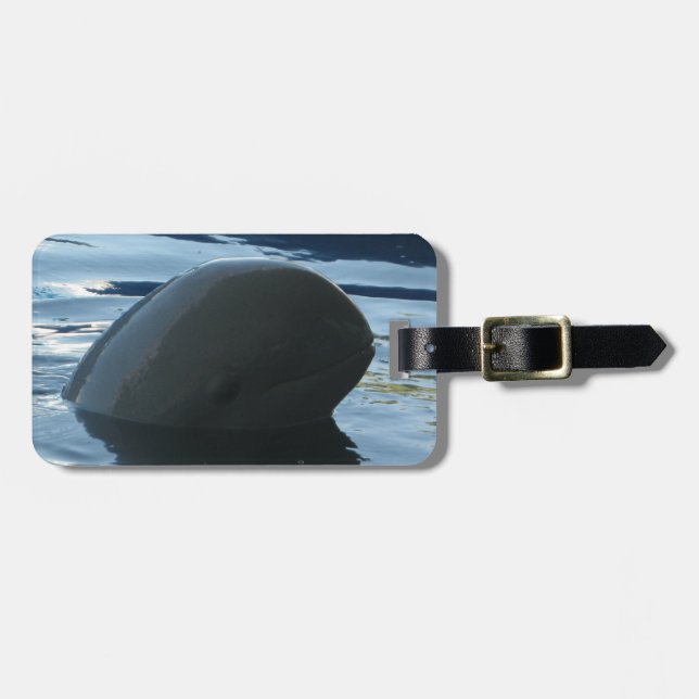 Irrawaddy Dolphin Peek-A-Boo Luggage Tag (Front Horizontal)