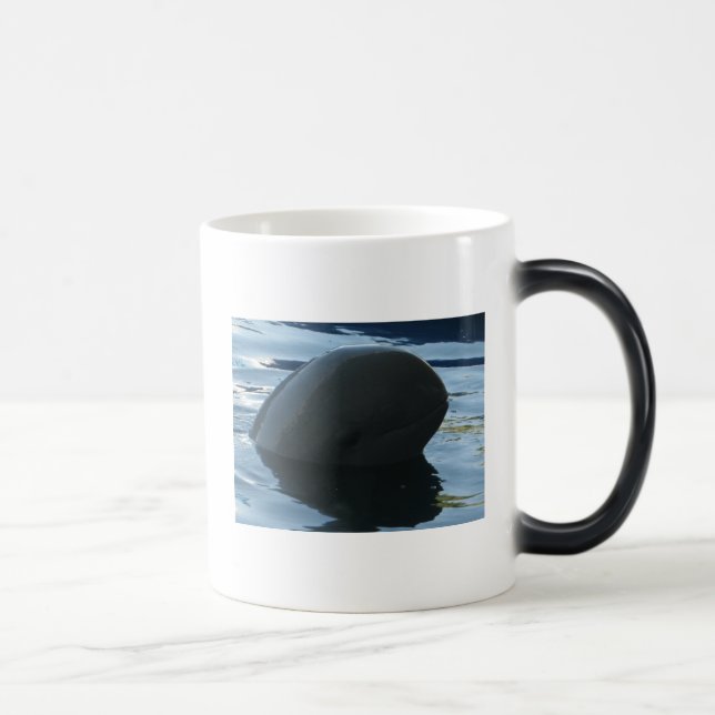 Irrawaddy Dolphin Peek-A-Boo Magic Mug (Right)