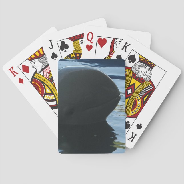 Irrawaddy Dolphin Peek-A-Boo Playing Cards (Back)