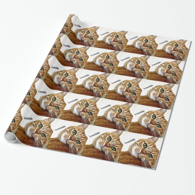 Irresistible Cat Wrapping Paper (Unrolled)