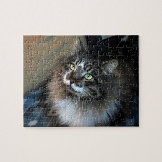 Irresistible Cat Zorro Puzzle (Horizontal)