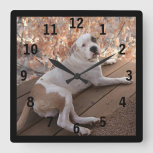 Irresistible Porch Dog Numbered Wall Clock