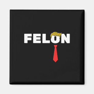 Is A Felon Trump 2024 Election American Magnet
