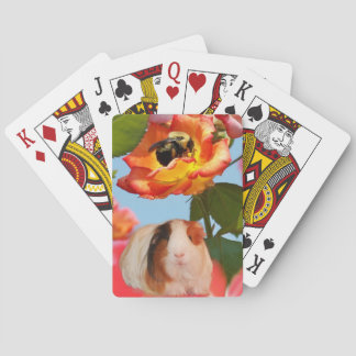 Is he gone yet? Guinea pig hiding from bee on rose Playing Cards