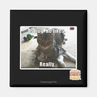 Is hug. He likes. Magnet