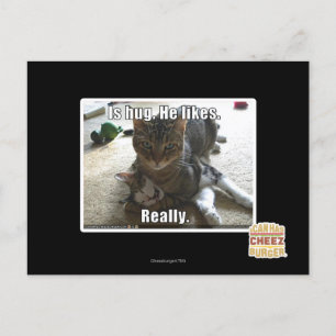 Is hug. He likes. Postcard