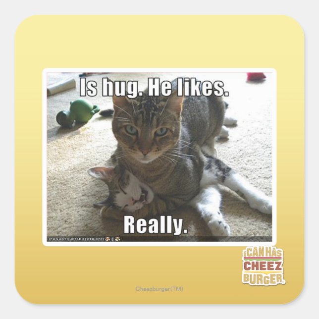 Is hug. He likes. Square Sticker (Front)