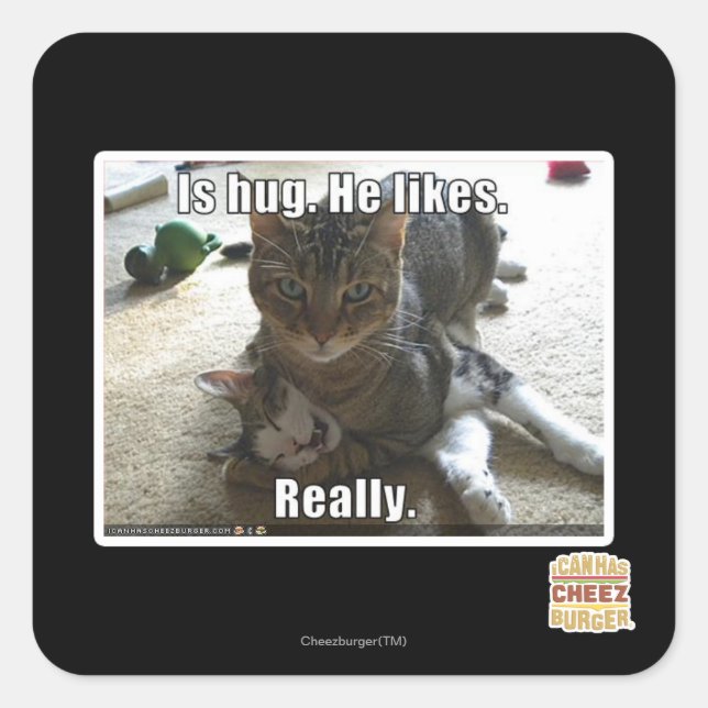 Is hug. He likes. Square Sticker (Front)