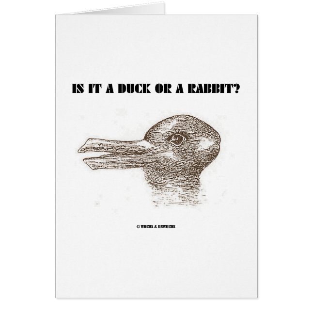 Is It A Duck Or A Rabbit? (Optical Illusion) (Front)