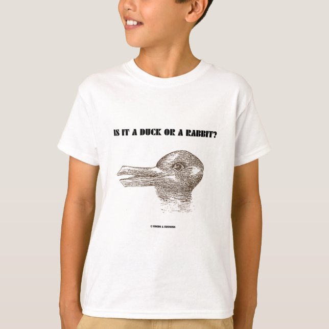 Is It A Duck Or A Rabbit? (Optical Illusion) T-Shirt (Front)