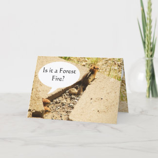 Is it a Forest Fire? Card