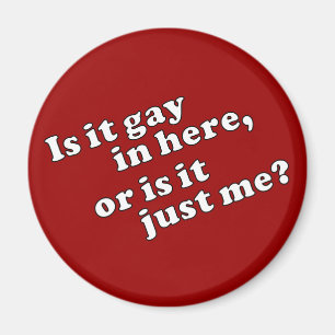 Is it gay in here, or is it just me? magnet