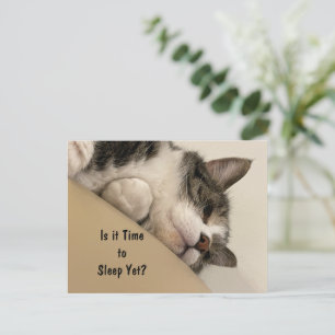Is it Time to Sleep Postcard